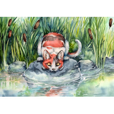 Print - Fox Pups
